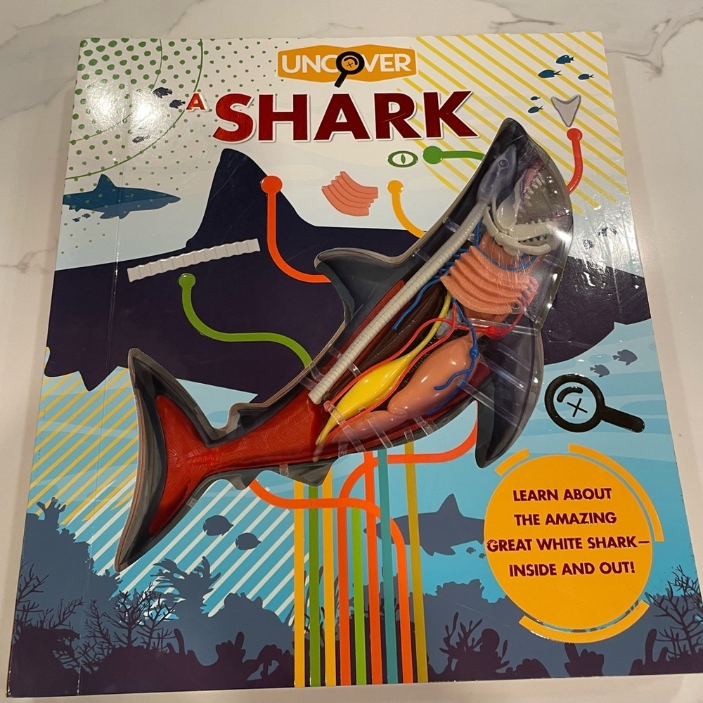 Uncover a Shark Educational Model book by David George